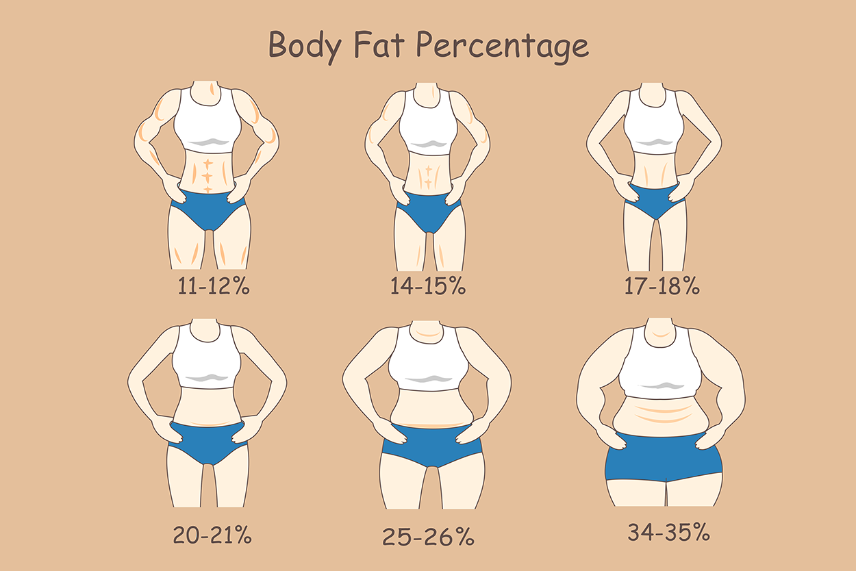 ideal body fat percentages